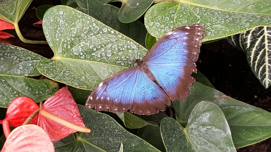 20150614_105355