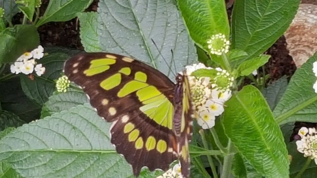 20150614_105457