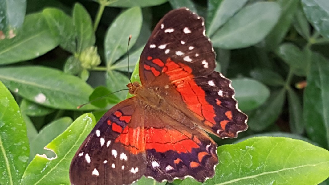 20150614_105643
