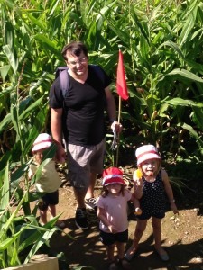 In the maize maze 
