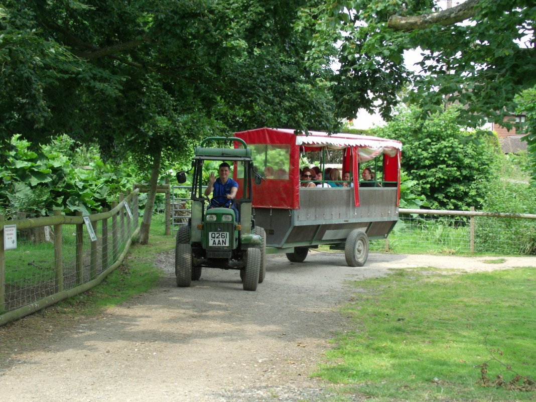 Tractor ride at Godstone Farm