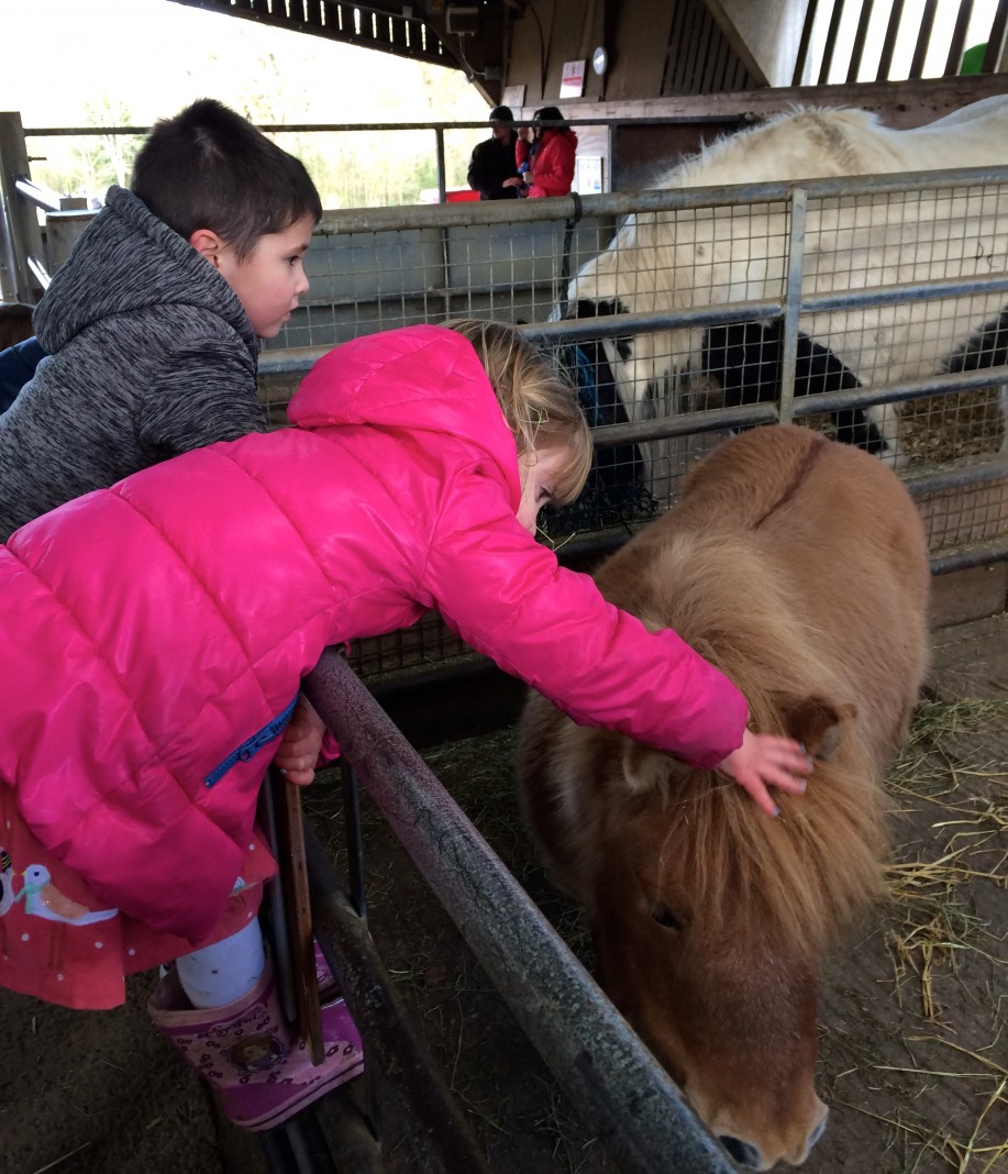 Godstone Farm