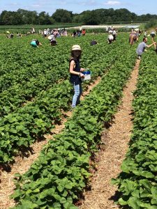 Pick your own