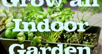 Growing Vegetables