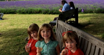 Lavender