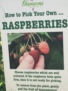 Pick Your Own