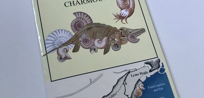 Fossil