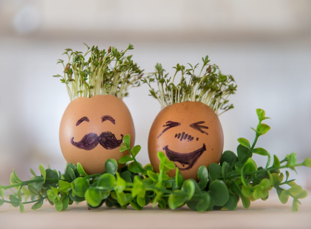 Gardening