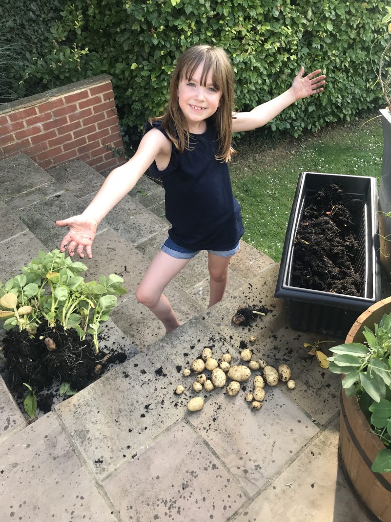 Gardening