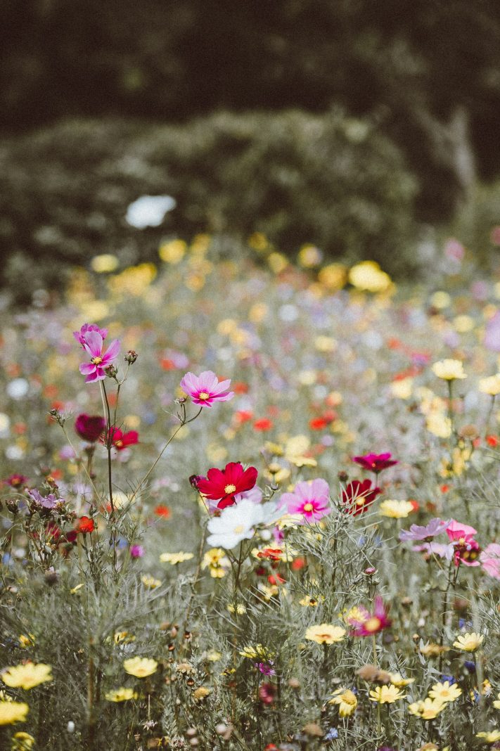 Gardening