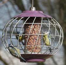 wildlife