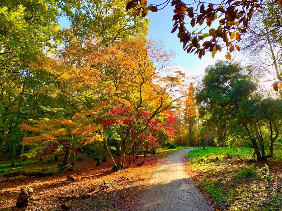 Autumn
