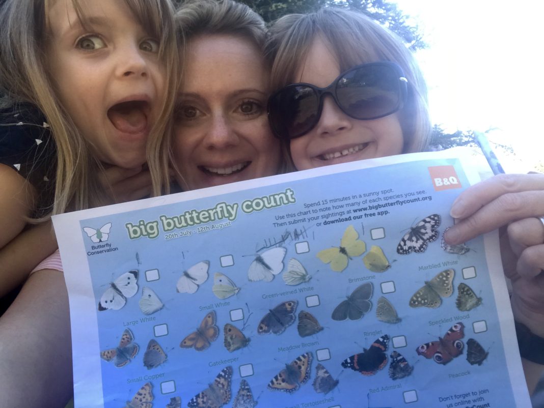 The Big Butterfly Count